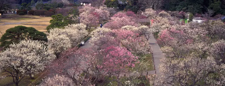 Kairaku-en, Mito
