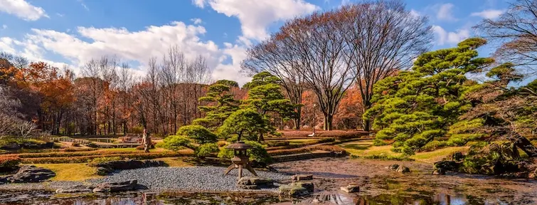 Pond with stone lantern on the edge and trees in the background