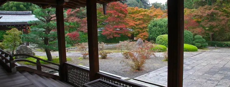 Covered wooden platform looking out to a paved garden