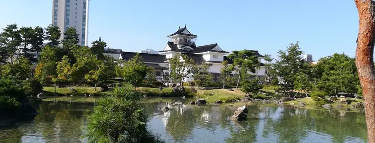 Looking over a pond to Toyama Castle