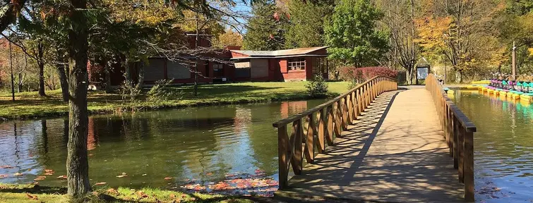 Bridge over the lake to wooden buidlings with a tree in the foreground.