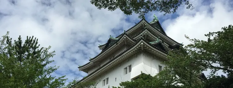 Looking up through the trees to the castle