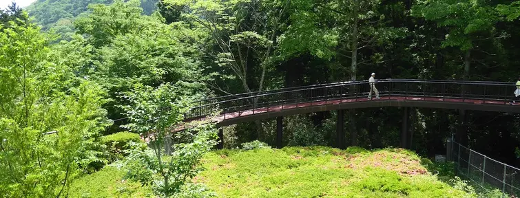 Hakone Open Air Museum