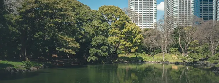 Hama Rikyu Garden Tokyo
