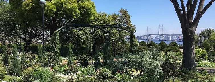 Plants and trees in a park overlooking Yokohama harbour