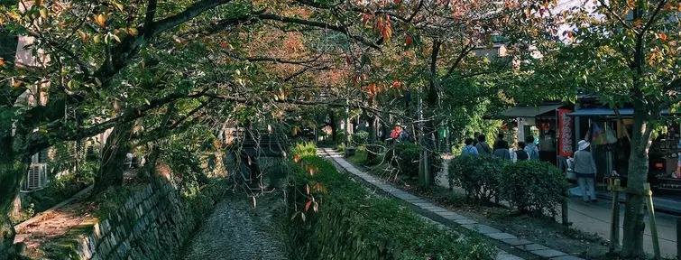 Philosophers Path in Autumn
