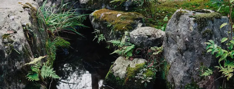 Gardens of Tenryuji Temple, Kyoto