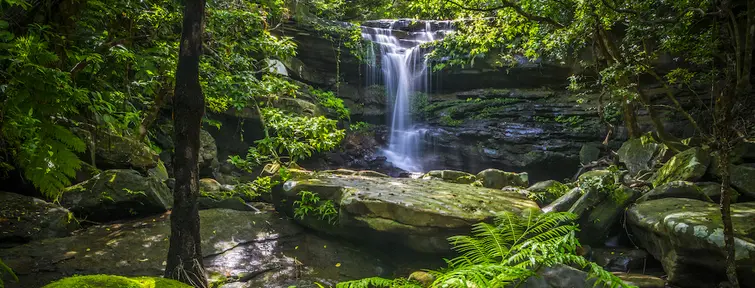 Waterfall on Iriomote, Okinawa