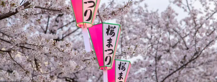 Hanami-Tokyo