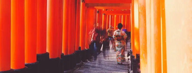 group tours of japan