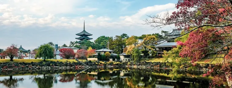 Nara Nara