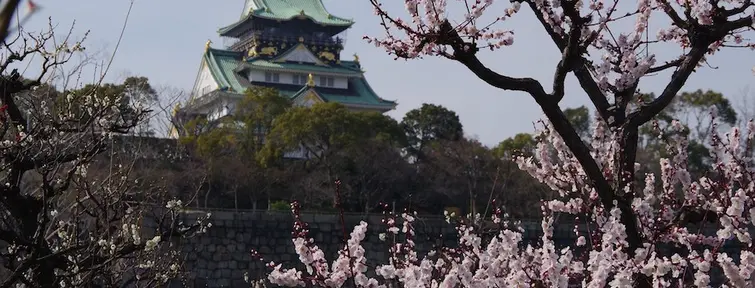 Osaka Osaka