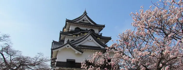 Hikone, Shiga Hikone, Shiga