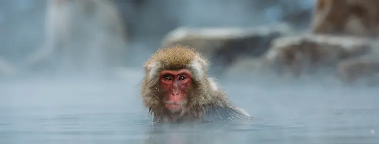Nagano Nagano