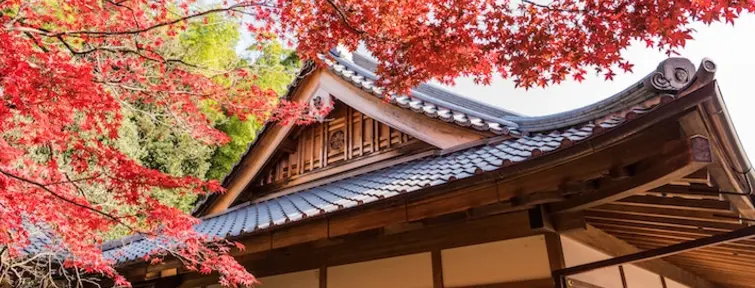 Kyoto Kyoto