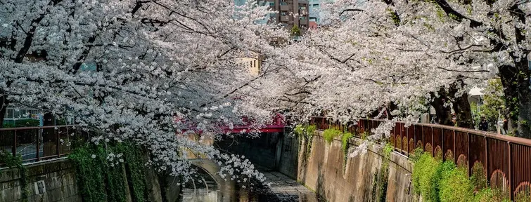 Meguro Meguro