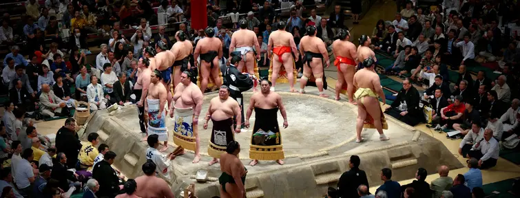 Sumo