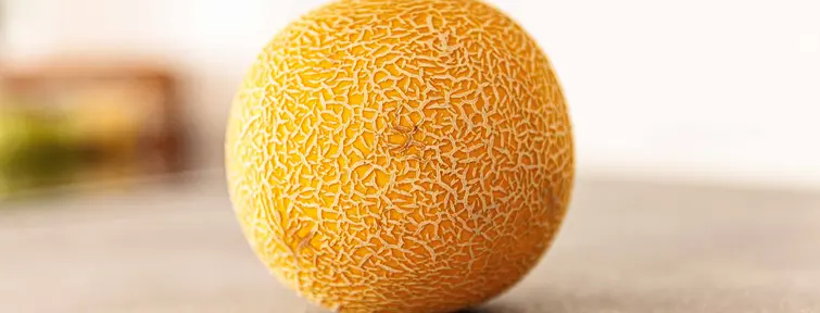 Melon Melon