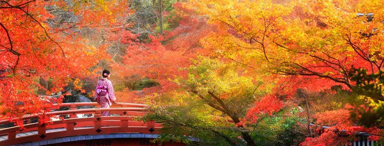 Autumn in Japan