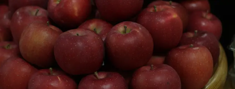 Aomori apples