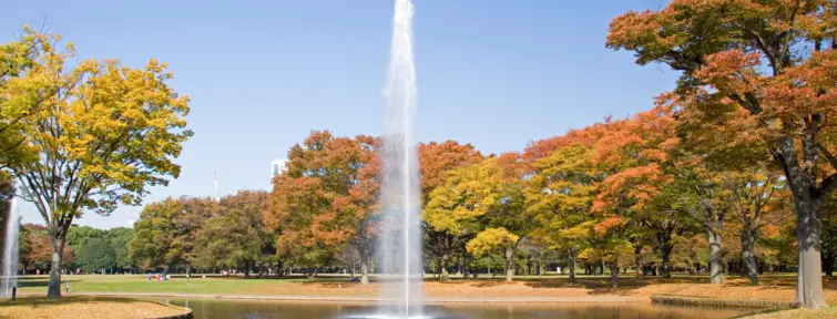 Fontaine du parc Yoyogi