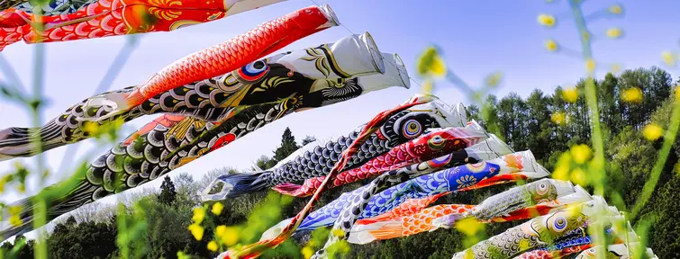 Koinobori flags & kites