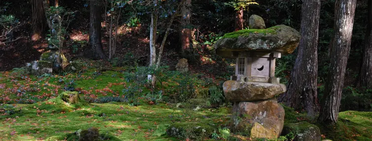 Temple Sanzen-in à Ohara