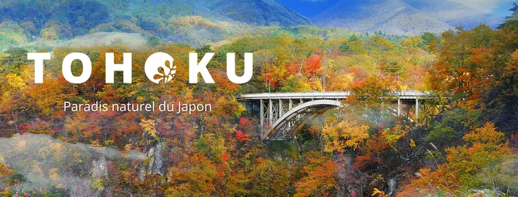 Tohoku, Japon