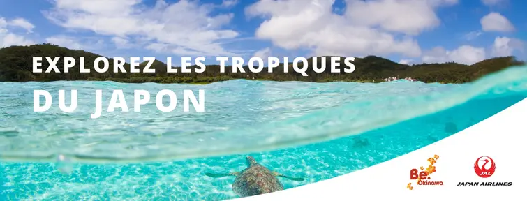 Explore Okinawa with Japan Experience