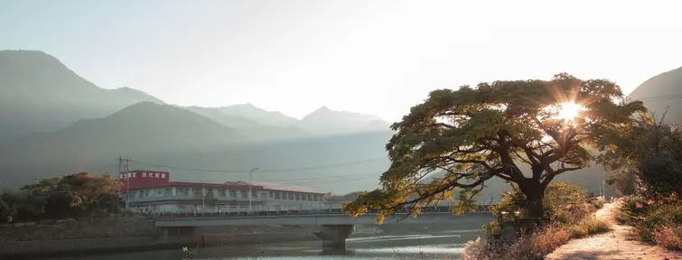 Vue sur la rivière traversant Yakushima