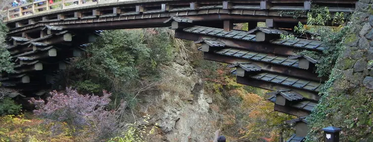 Saruhashi Bridge Saruhashi Bridge