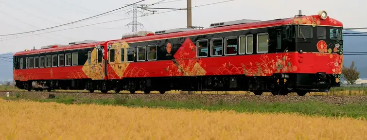 Hanayone-Noren train (JNTO)