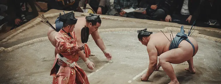 Sumo Sumo