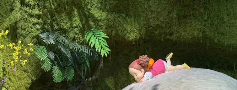 Ghibli 3D Exhibition - Totoro