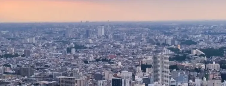 Vue de Tokyo depuis Shinjuku Sumitomo Building