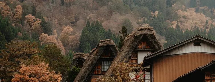 Shirakawa-go (Gifu) 