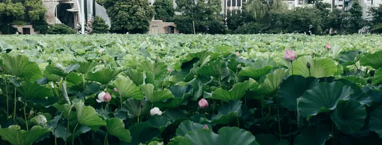 Ueno Ueno