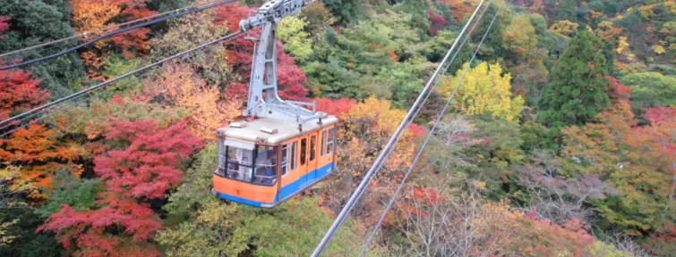 L'automne dans le Kansai (Mont Rokko, Nagoya)
