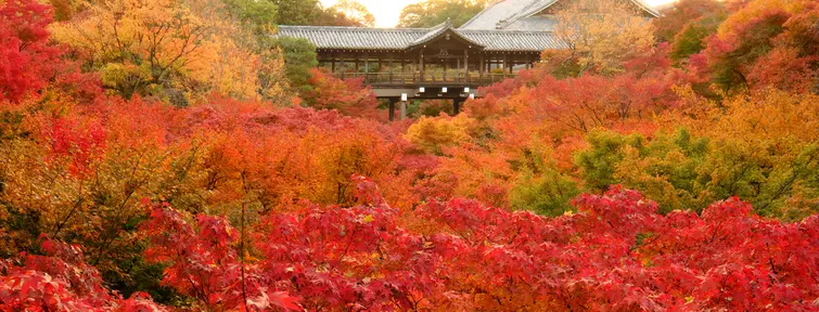 Tofuku-ji Tofuku-ji
