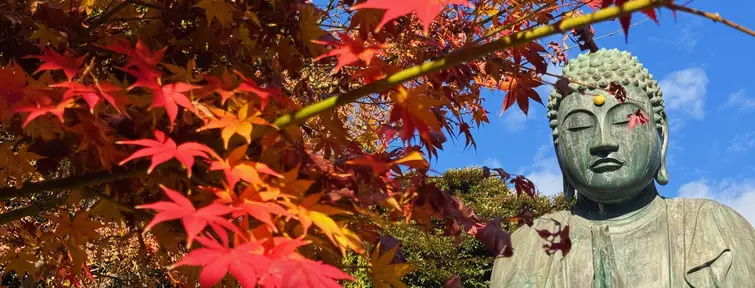 Daibutsu at Tennoji, Tokyo