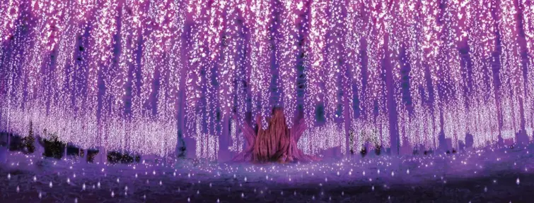 Illuminations au parc floral d'Ashikaga
