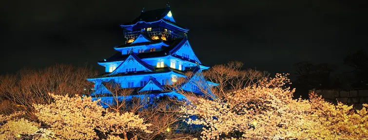 Osaka Castle illumination