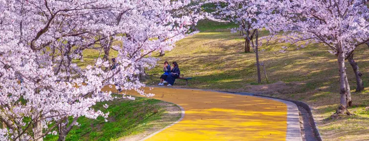 Nishi Koen (Fukuoka)