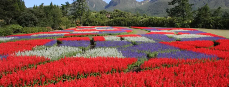 Kuju Flower Park