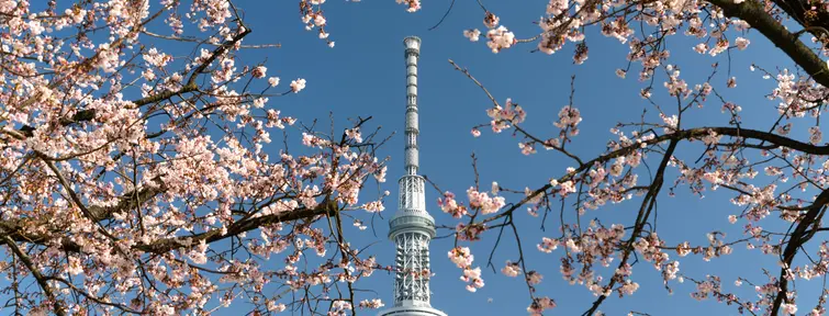Tokyo Skytree