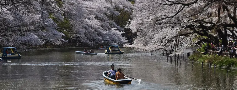 Inokashira Koen