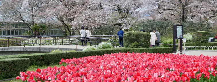 Kyoto Botanical Garden