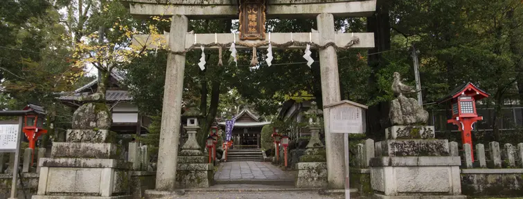 Miyake Hachimangu, le sanctuaire du pigeon