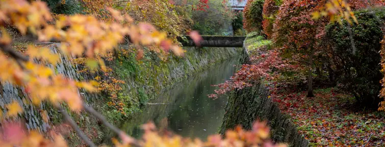 Chemin de la philosophie en automne