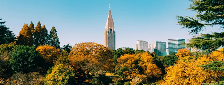 Shinjuku Gyoen en automne